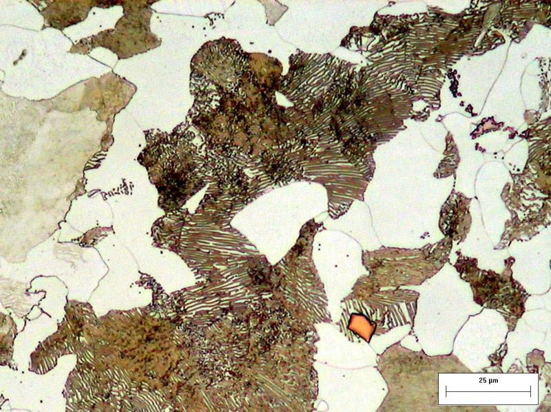 MicrostrutturadiacciaioC45normalizzato