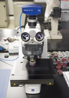 Microscopio digitale ZEISS Axioscope 7