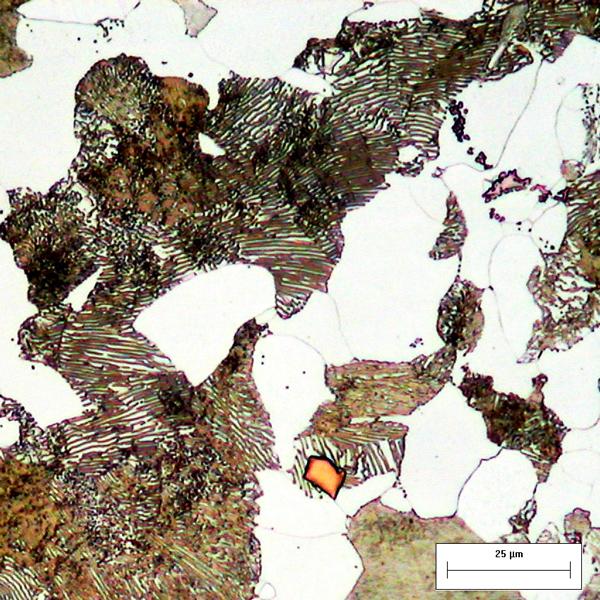 micrografia acciaio C45 con carbonitruro di titanio micrografia acciaio C45 con carbonitruro di titanio