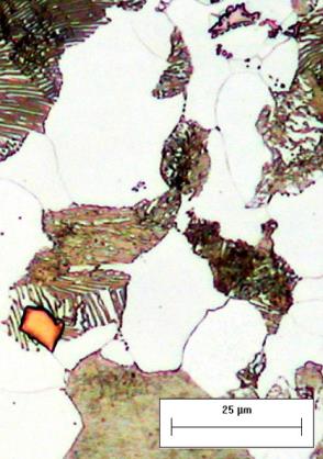 Analisi metallografica di acciaio C45 normalizzato.